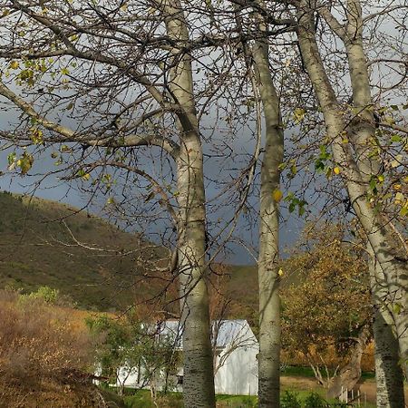 Hotel Sonklip Stellenbosch Zewnętrze zdjęcie