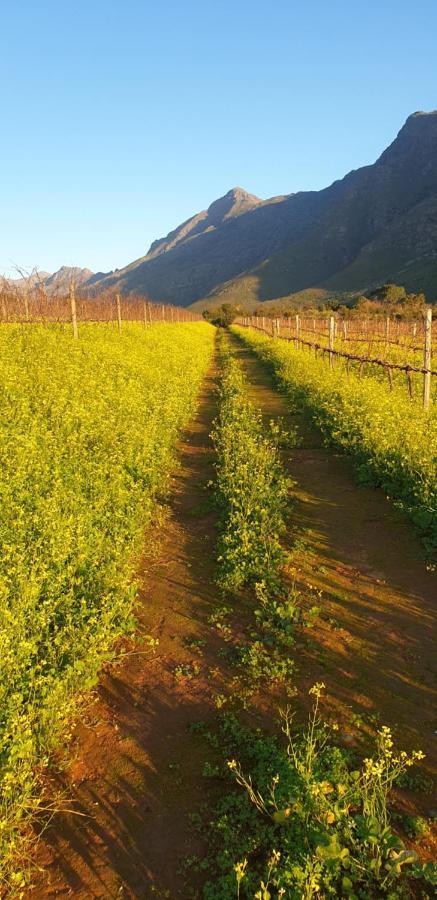 Hotel Sonklip Stellenbosch Zewnętrze zdjęcie