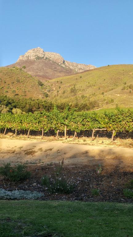 Hotel Sonklip Stellenbosch Zewnętrze zdjęcie
