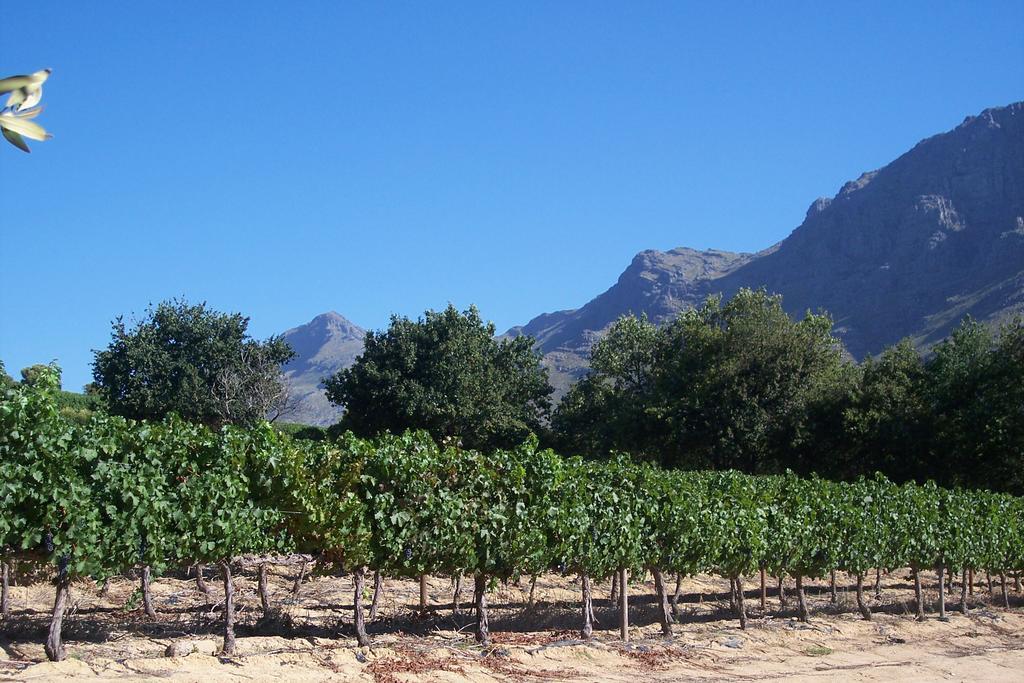 Hotel Sonklip Stellenbosch Zewnętrze zdjęcie