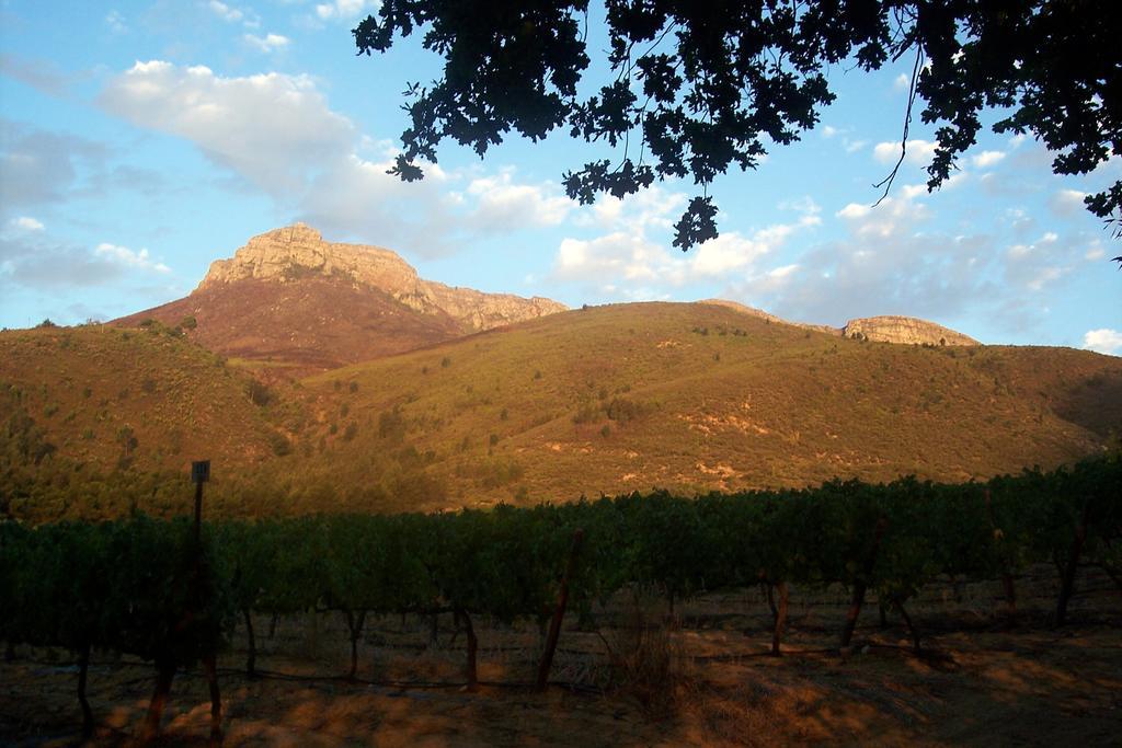 Hotel Sonklip Stellenbosch Zewnętrze zdjęcie