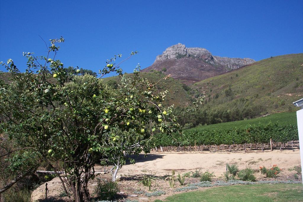 Hotel Sonklip Stellenbosch Zewnętrze zdjęcie