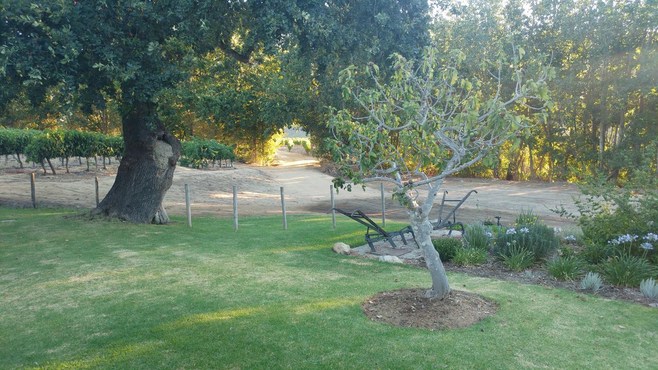 Hotel Sonklip Stellenbosch Zewnętrze zdjęcie