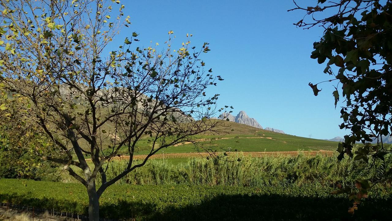 Hotel Sonklip Stellenbosch Zewnętrze zdjęcie