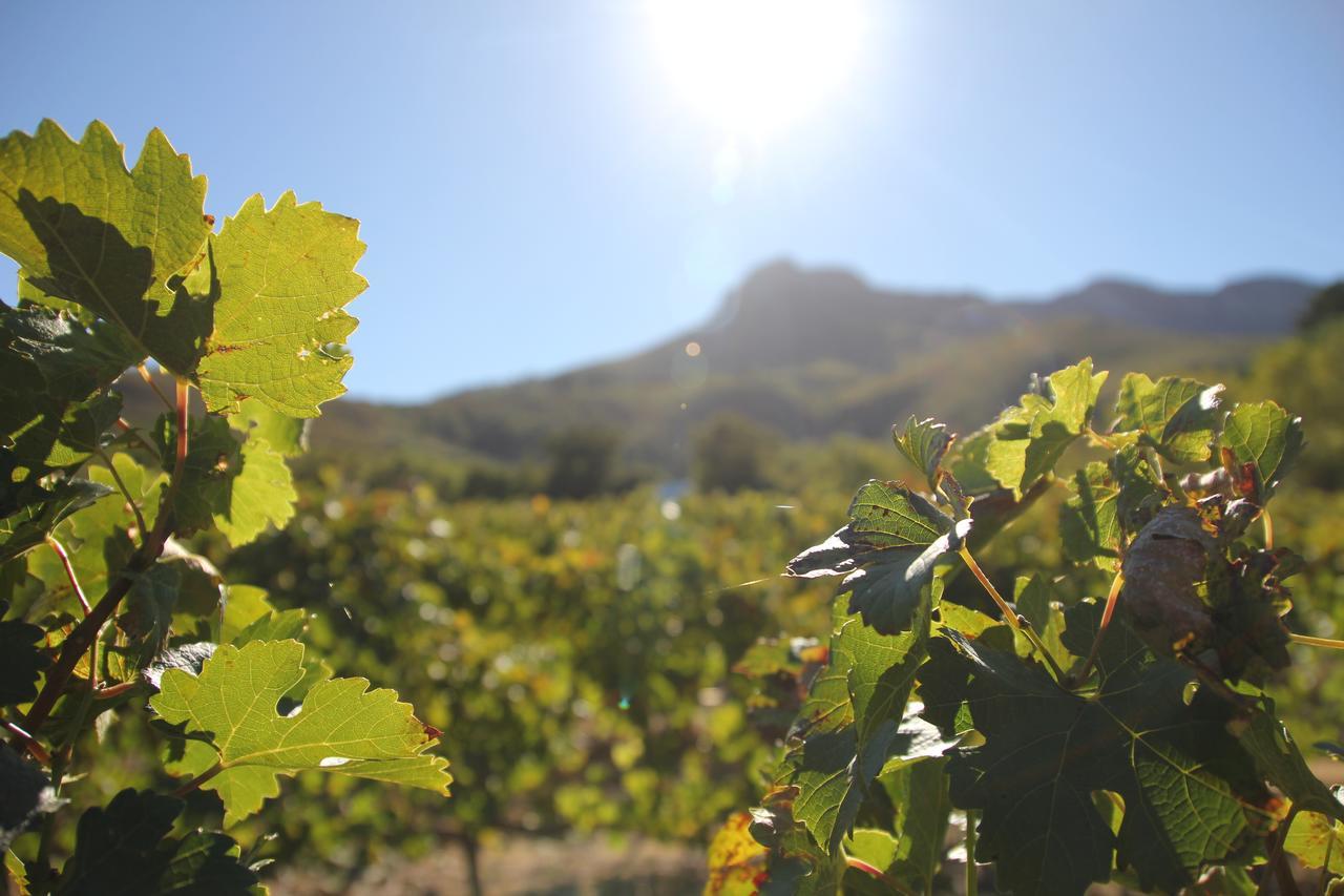 Hotel Sonklip Stellenbosch Zewnętrze zdjęcie