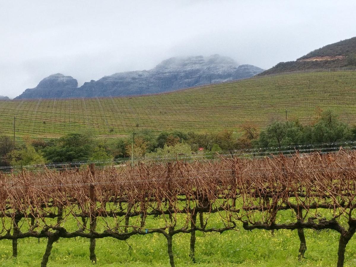 Hotel Sonklip Stellenbosch Zewnętrze zdjęcie