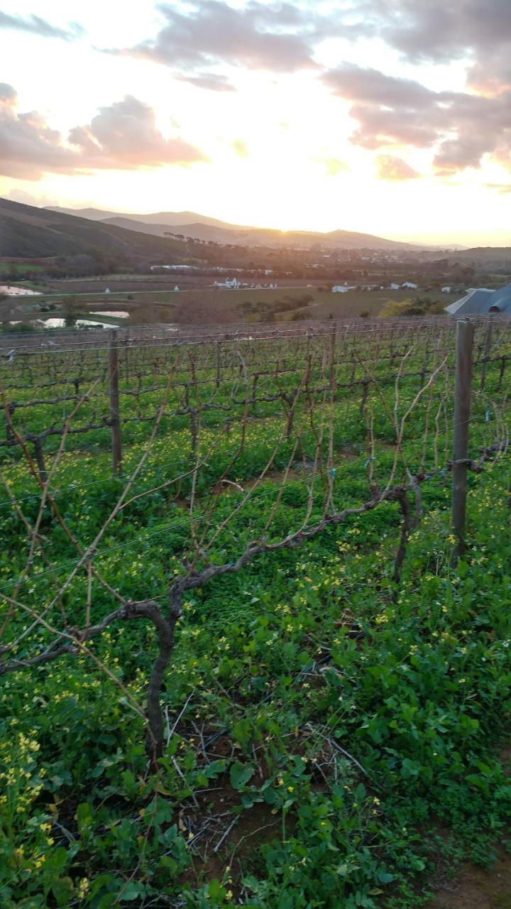 Hotel Sonklip Stellenbosch Zewnętrze zdjęcie