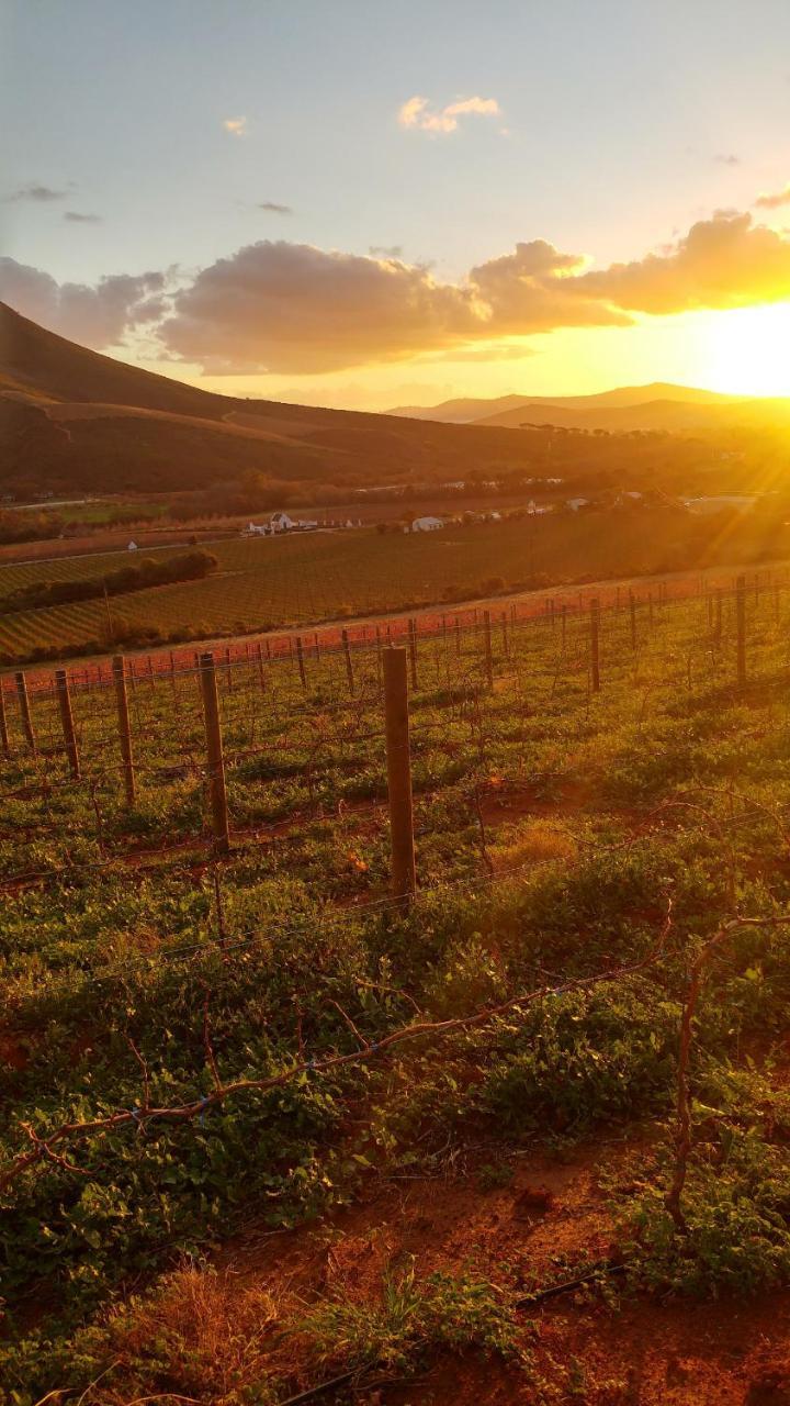 Hotel Sonklip Stellenbosch Zewnętrze zdjęcie