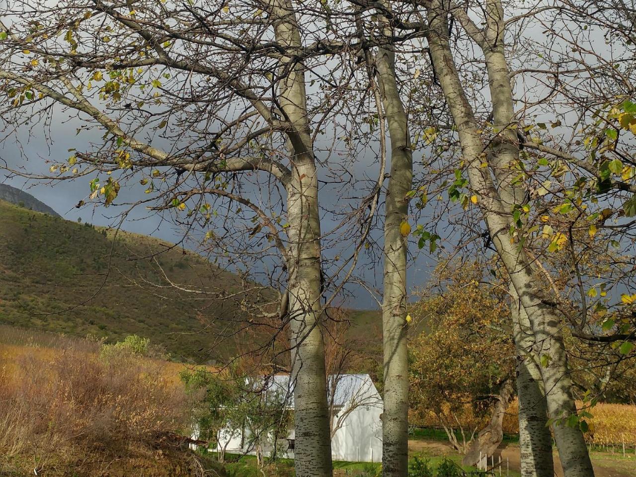 Hotel Sonklip Stellenbosch Zewnętrze zdjęcie
