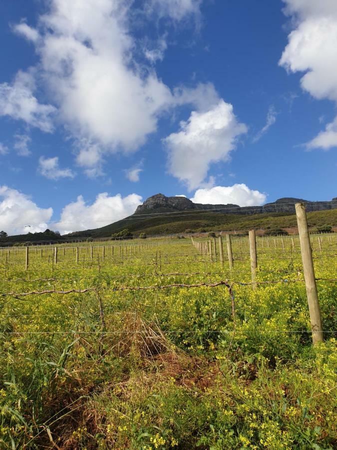 Hotel Sonklip Stellenbosch Pokój zdjęcie